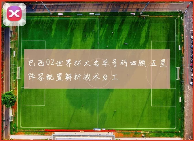 巴西02世界杯大名单号码回顾 五星阵容配置解析战术分工
