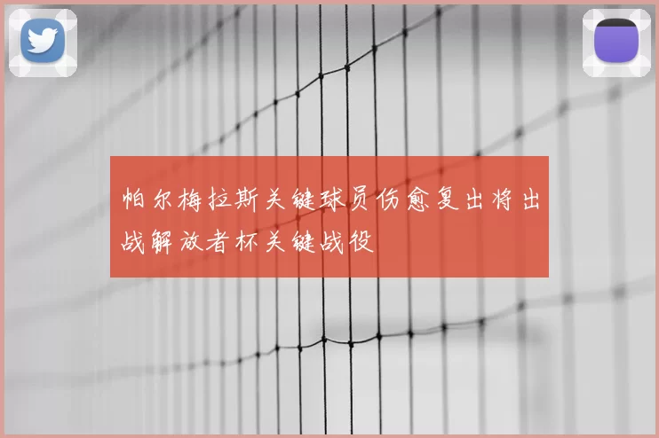 帕尔梅拉斯关键球员伤愈复出将出战解放者杯关键战役