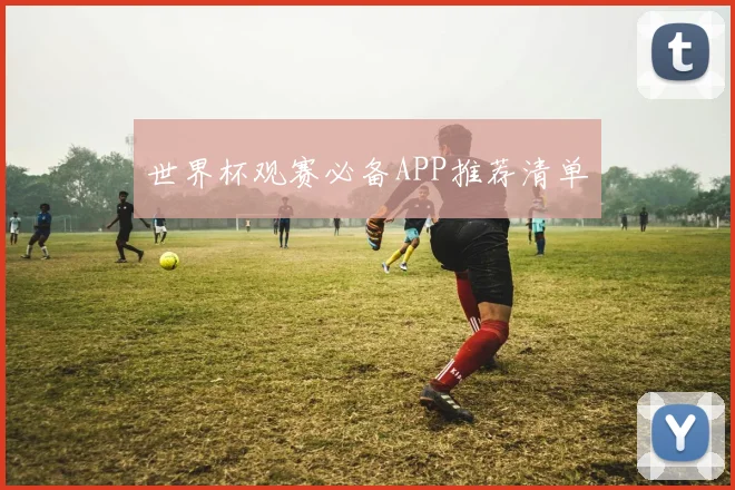 世界杯观赛必备APP推荐清单