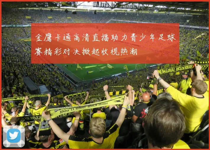 金鹰卡通高清直播助力青少年足球赛精彩对决掀起收视热潮